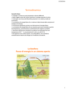 LEZ 02 BIOCHIMICA x TBA ODDI - Progetto e