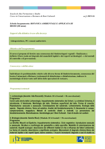 PDF 194 Kb - Istituto Superiore per la Conservazione ed il Restauro