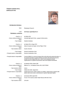 formato europeo per il curriculum vitae