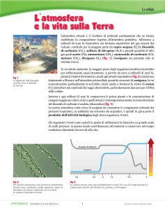 L`atmosfera e la vita sulla Terra