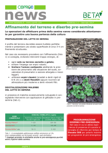Affinamento del terreno e diserbo pre-semina
