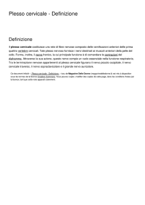 Plesso cervicale - Definizione