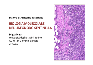 Biologia molecolare nel linfonodo sentinella