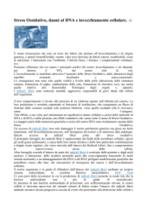 Stress Ossidativo, danni al DNA e invecchiamento cellulare.