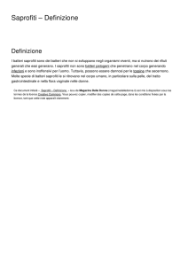Saprofiti – Definizione