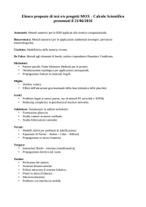 Elenco proposte di tesi e/o progetti MOX - Calcolo Scientifico