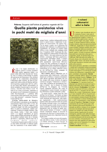I vulcani sottomarini attivi in Italia