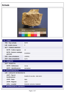 Scarica la scheda completa in pdf