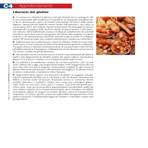 Sadava BiologiaBlu approfondimenti C4 glutine