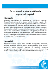 Estrazione di sostanze attive da organismi vegetali