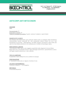 anti mitocondri