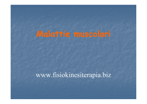 Malattie muscolari - Fisiokinesiterapia