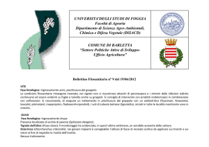 UNIVERSITA`DEGLI STUDI DI FOGGIA Facoltà di Agraria