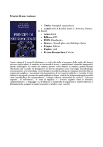 Principi di neuroscienze