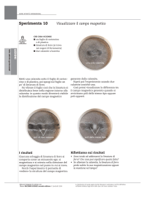 Visualizzare il campo magnetico - Zanichelli online per la scuola