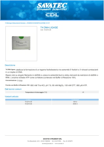 Stampa PDF