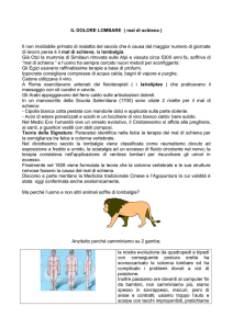 IL DOLORE LOMBARE ( maldi schiena )