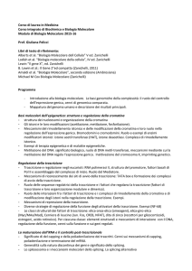 Biologia molecolare