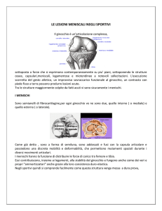 le lesioni meniscali negli sportivi