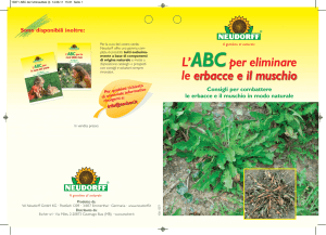 Consigli per combattere le erbacce e il muschio in