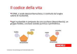 Il codice della vita