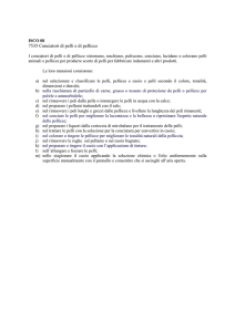 7535 Conciatori di pelli e di pellicce