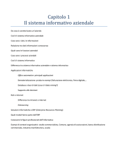 Capitolo 1 Il sistema informativo aziendale