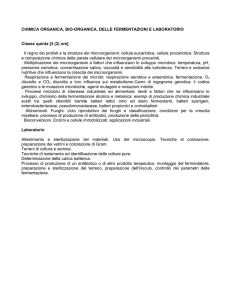 CHIMICA ORGANICA, BIO-ORGANICA, DELLE FERMENTAZIONI E