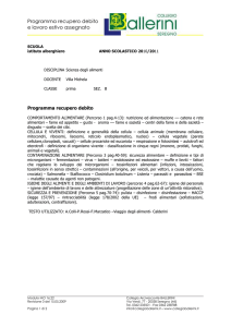 Programma recupero debito e lavoro estivo