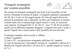 Triangolo acutangolo. - La fisica di Roberto Occa e dei suoi allievi