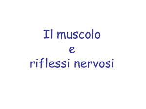 Diapositiva 1