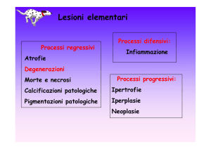 degenerazioni intracellulari