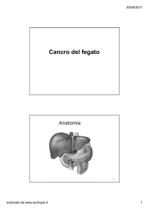 Cancro del Fegato