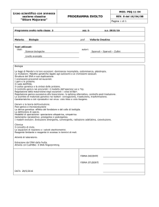 Programma svolto nella classe