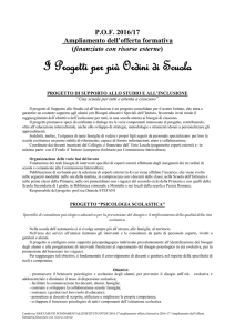 Ampliamento dell`Offerta Formativa finanziato con risorse esterne