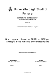 Università degli Studi di Ferrara