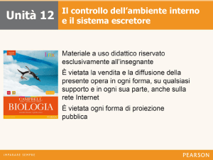 Controllo Ambiente Interno e Sistema Escretore - Biologia