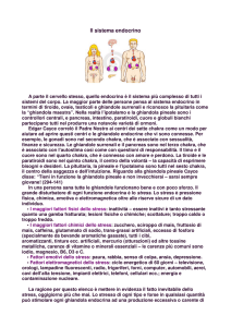 Il sistema endocrino