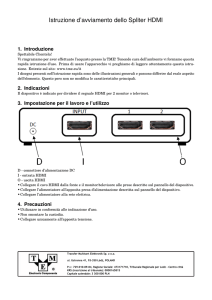 Istruzione d`avviamento dello Spliter HDMI