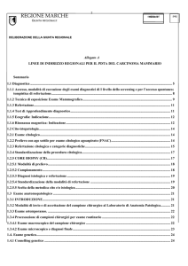Documento - TSRM-PU