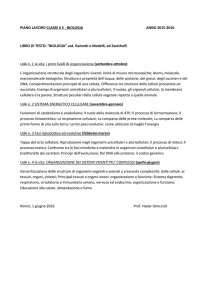 PIANO LAVORO CLASSE II E - BIOLOGIA ANNO 2015