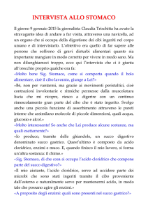 lo stomaco - Scuola Chizzolini