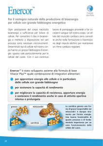 Per il sostegno naturale della produzione di