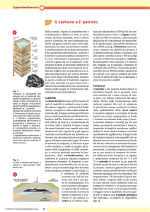 Il carbone e il petrolio