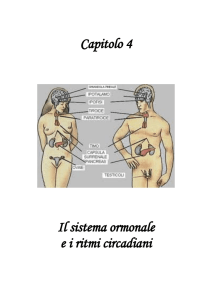 Capitolo 4 Il sistema ormonale ei ritmi circadiani