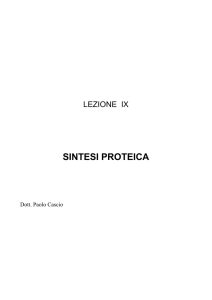 SINTESI PROTEICA