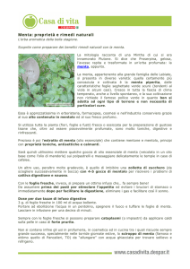 Menta: proprietà e rimedi naturali