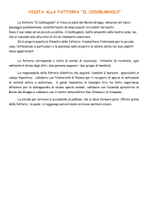 VISITA ALLA FATTORIA “IL CODIBUGNOLO”