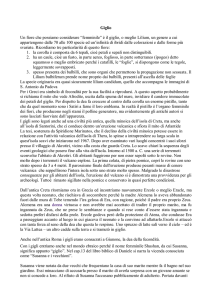 Un altro fiore che possiamo considerare “femminile” è il giglio, o