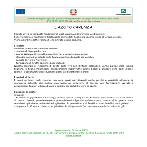 l`azoto carenza
